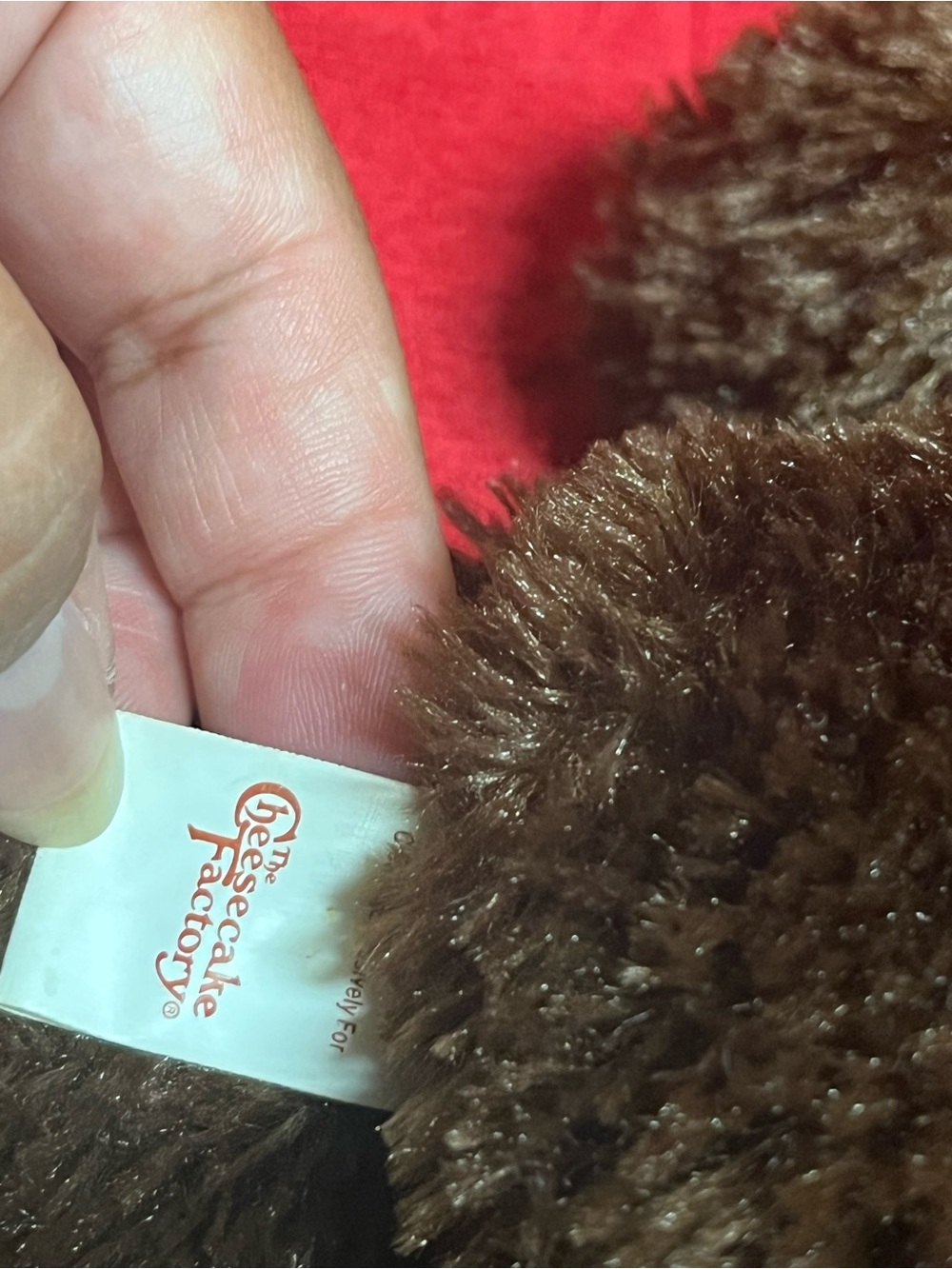 2008 30th Anniversary Cheesecake Factory Teddy Bear special edition - Picture 4 of 10